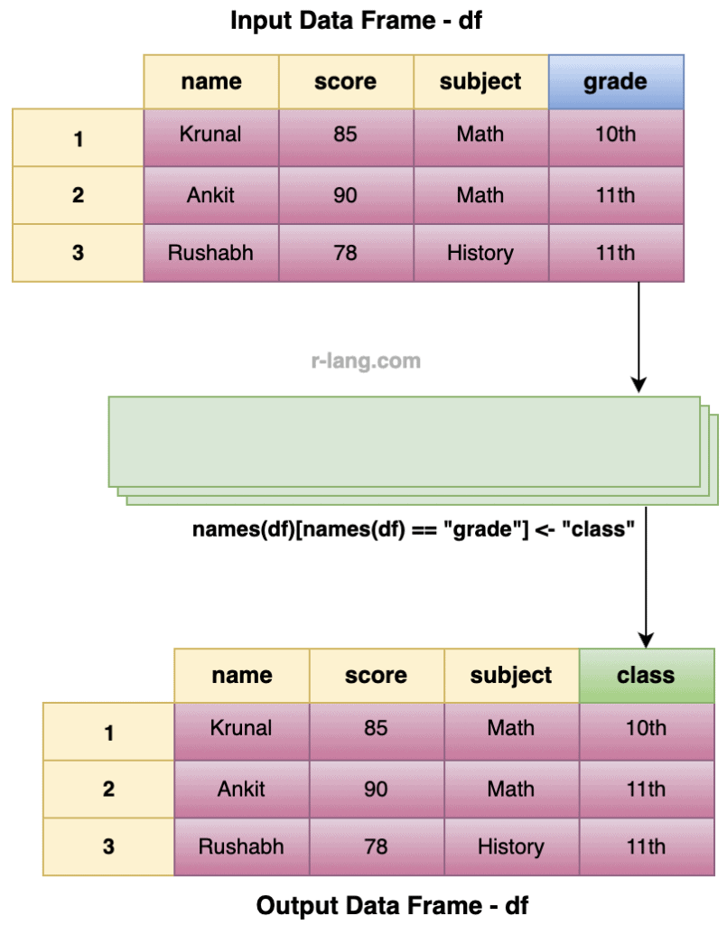 Visualization of using names() function to rename data frame column in R