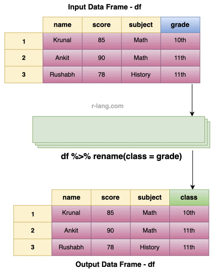 Visualization of using the rename() function from dplyr package