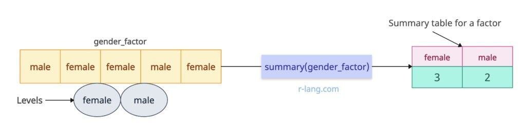 summary() function for a factor in R