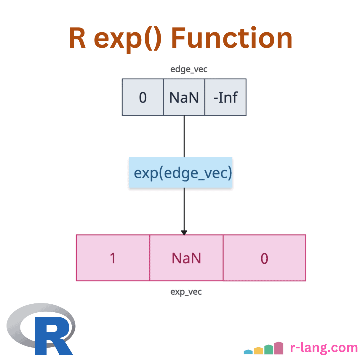R exp() Function